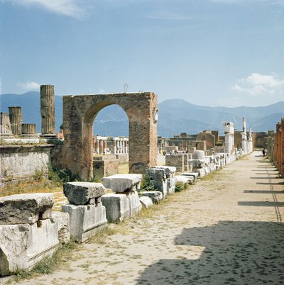 Vista del Foro con las montañas al fondo de Roman